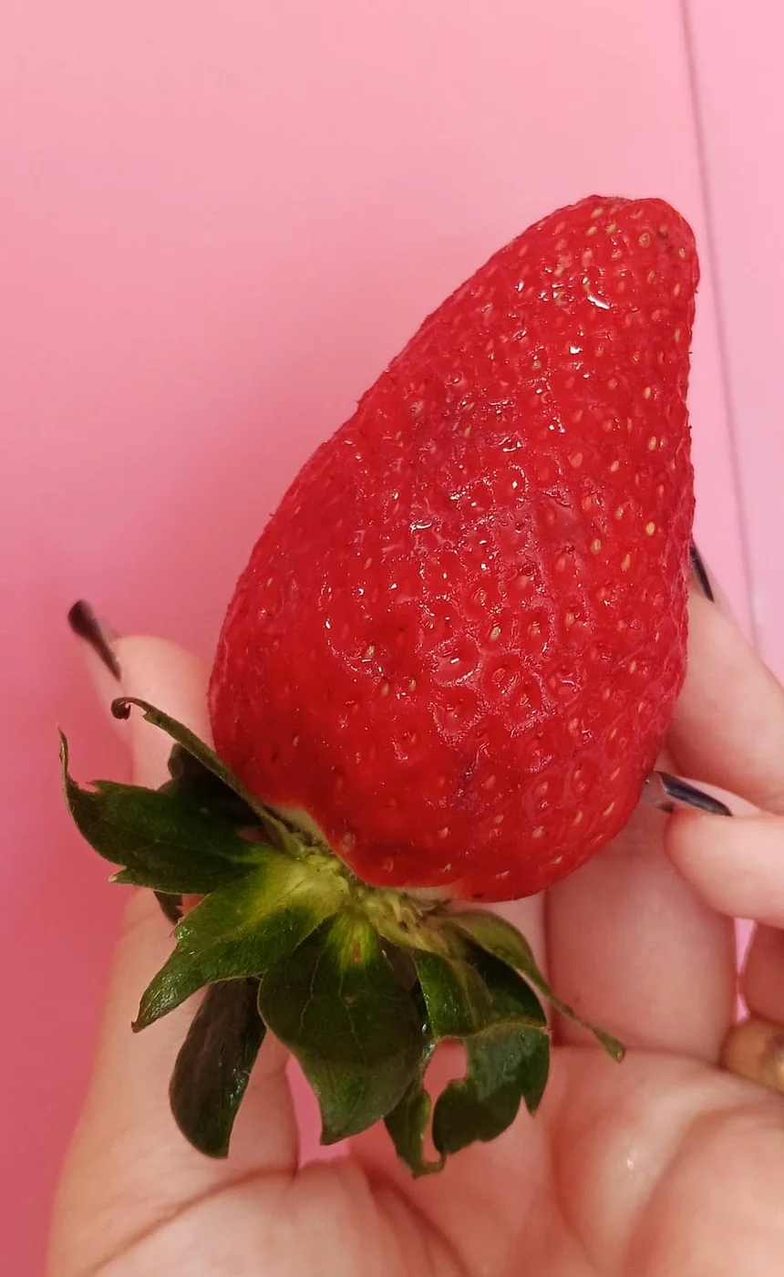 Produtos sazonais da Débora Priscila Doces
